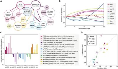 Network Simulations Reveal Molecular Signatures of Vulnerability to Age-Dependent Stress and Tau Accumulation